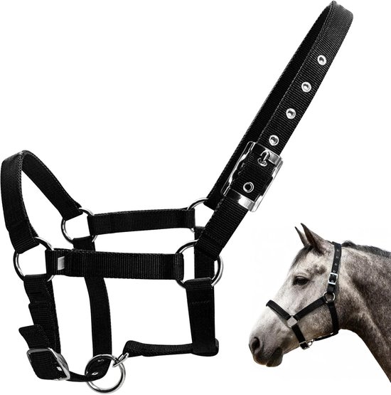 zonder bitjes voor houten paarden, grappig paardenhoofdstel voor houten paard met teugels, paardenspeelgoed voor kinderen, spel en houten paarden, speeltroos, trens, voor speelpaard, eenheidsmaat