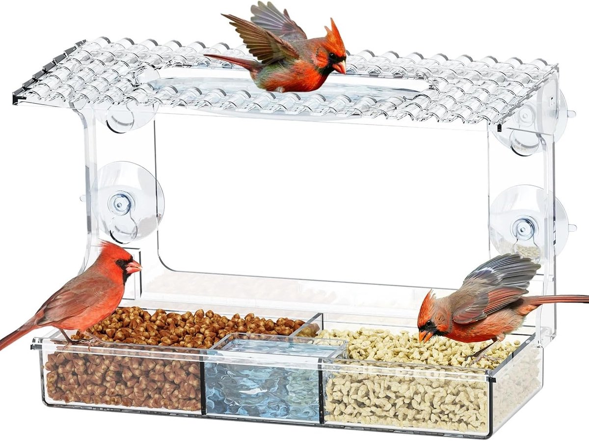 Vogelvoederdispenser, 2-in-1 vogelhuis, raam, vogelvoederstation met zuignappen, transparant voederhuis voor vogels, weerbestendig, voederstation voor wilde vogels, tuin en balkon