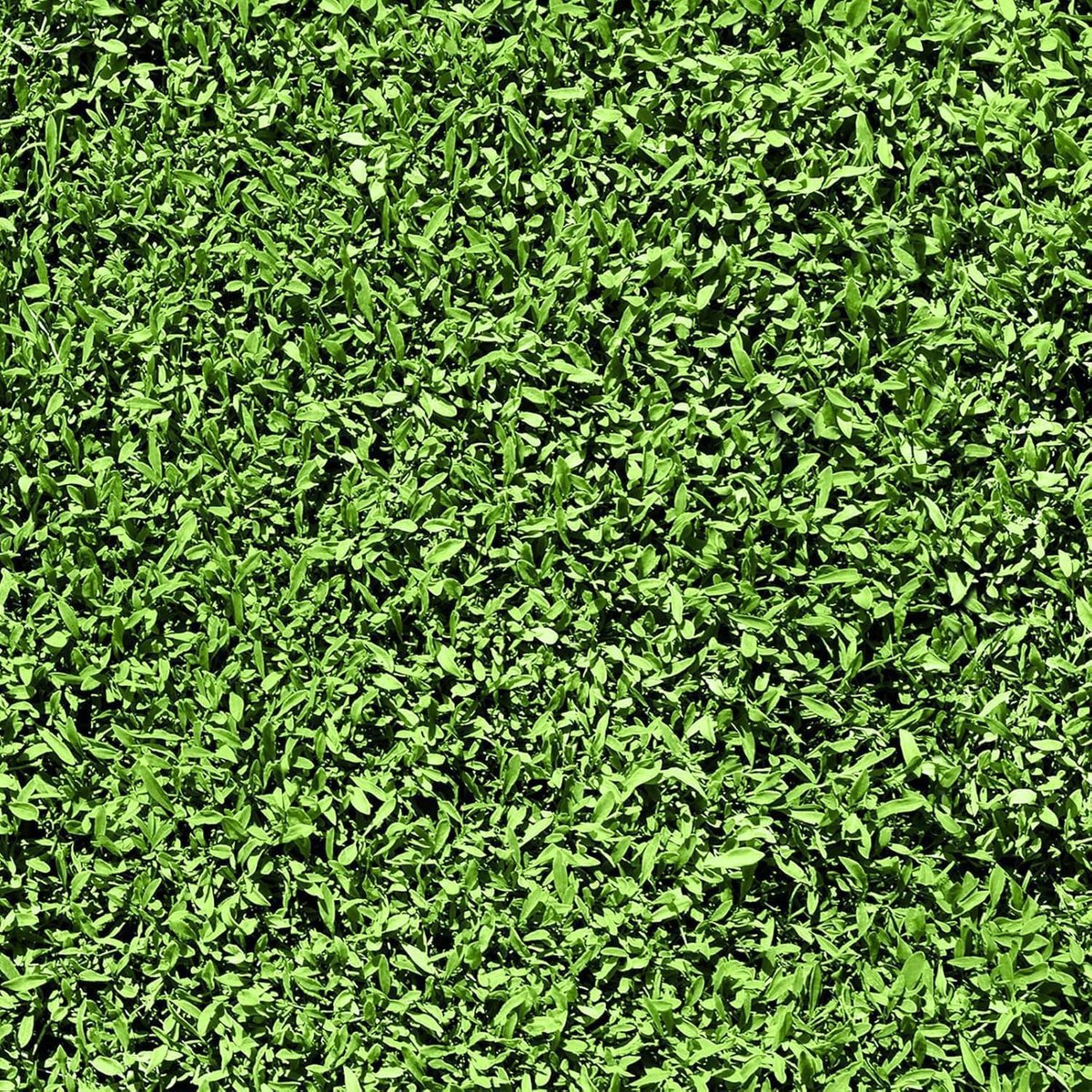 Behang zelfklevend groen patroon fotobehang slaapkamer gras bladeren behang groen zelfklevende bladeren decoratieve film voor knutselen film met patroon botanische 44.5CM×3M