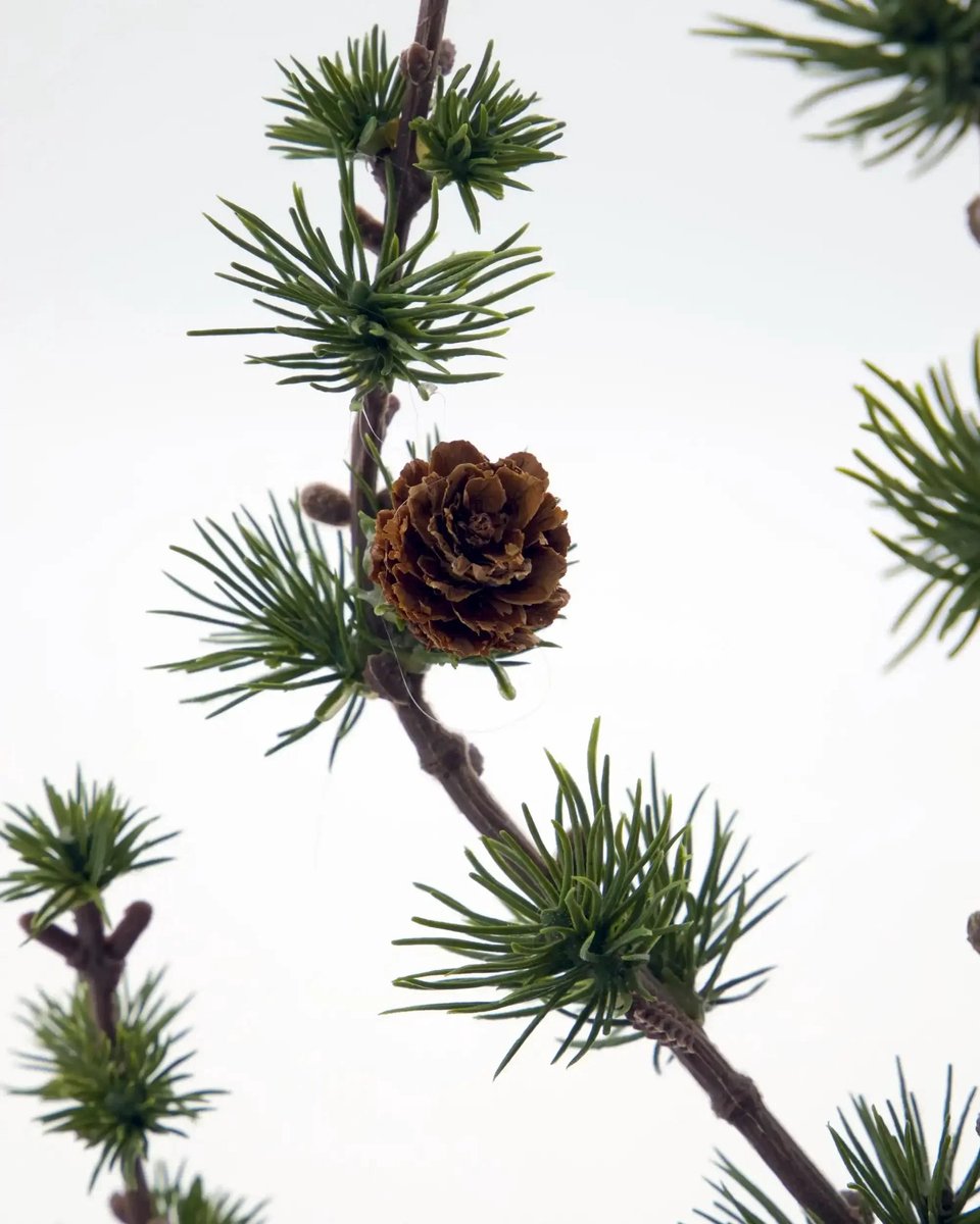 House Doctor Kerstboom Stay groen 40cm
