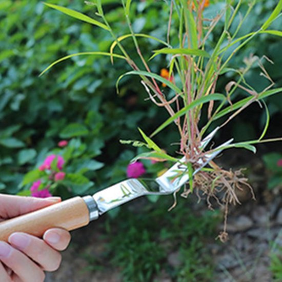 Onkruidverwijderaar - Onkruidsteker Grassteker - Tuinonderhoud - Ergonomische grip - 29 cm - Zilver — afbeelding 3