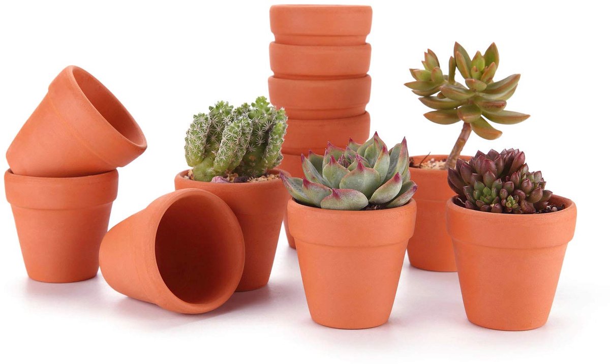 Dailygoods - Terracotta Potten Set van 12 - Kleine Plant Potten voor Succulenten en Cactussen