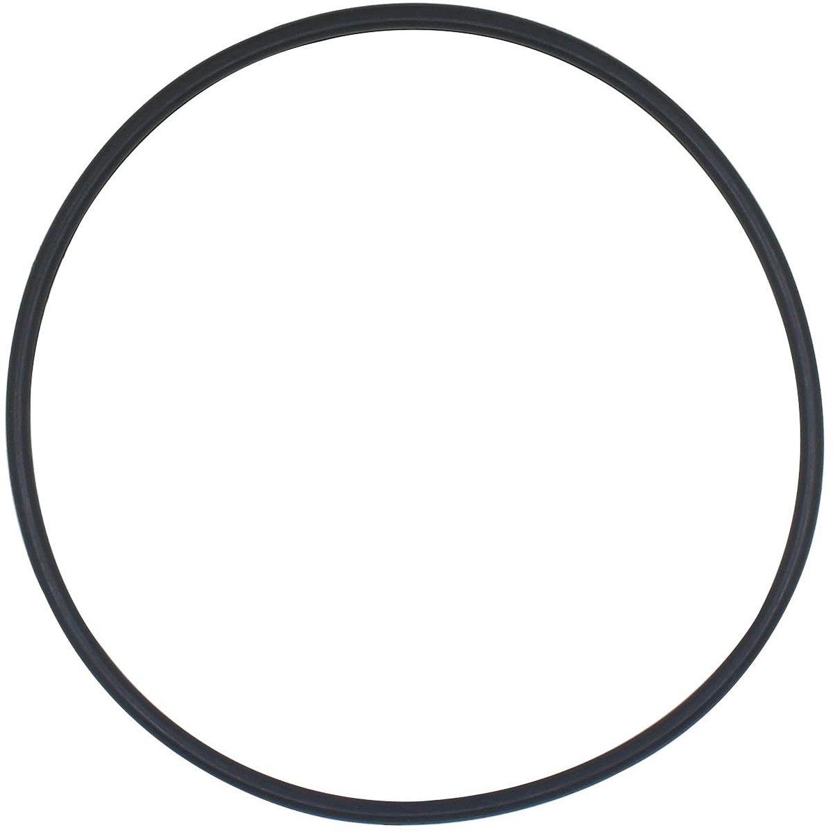 SolidKeus - O-Ring Filterpakking voor Zwembadfilterpomp