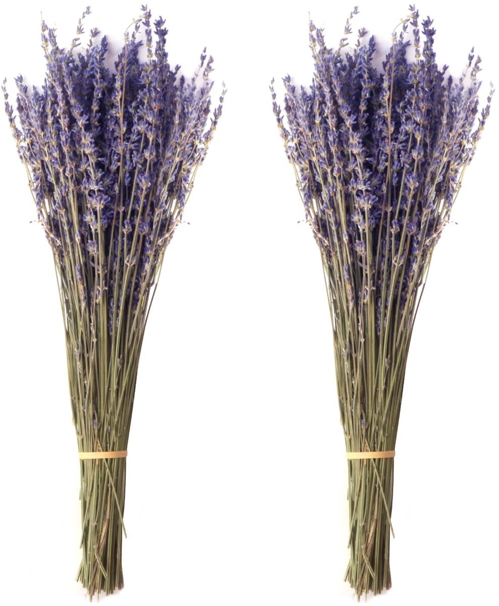 SolidKeus - 100 g Natuurlijke Gedroogde Lavendel voor Knutselen