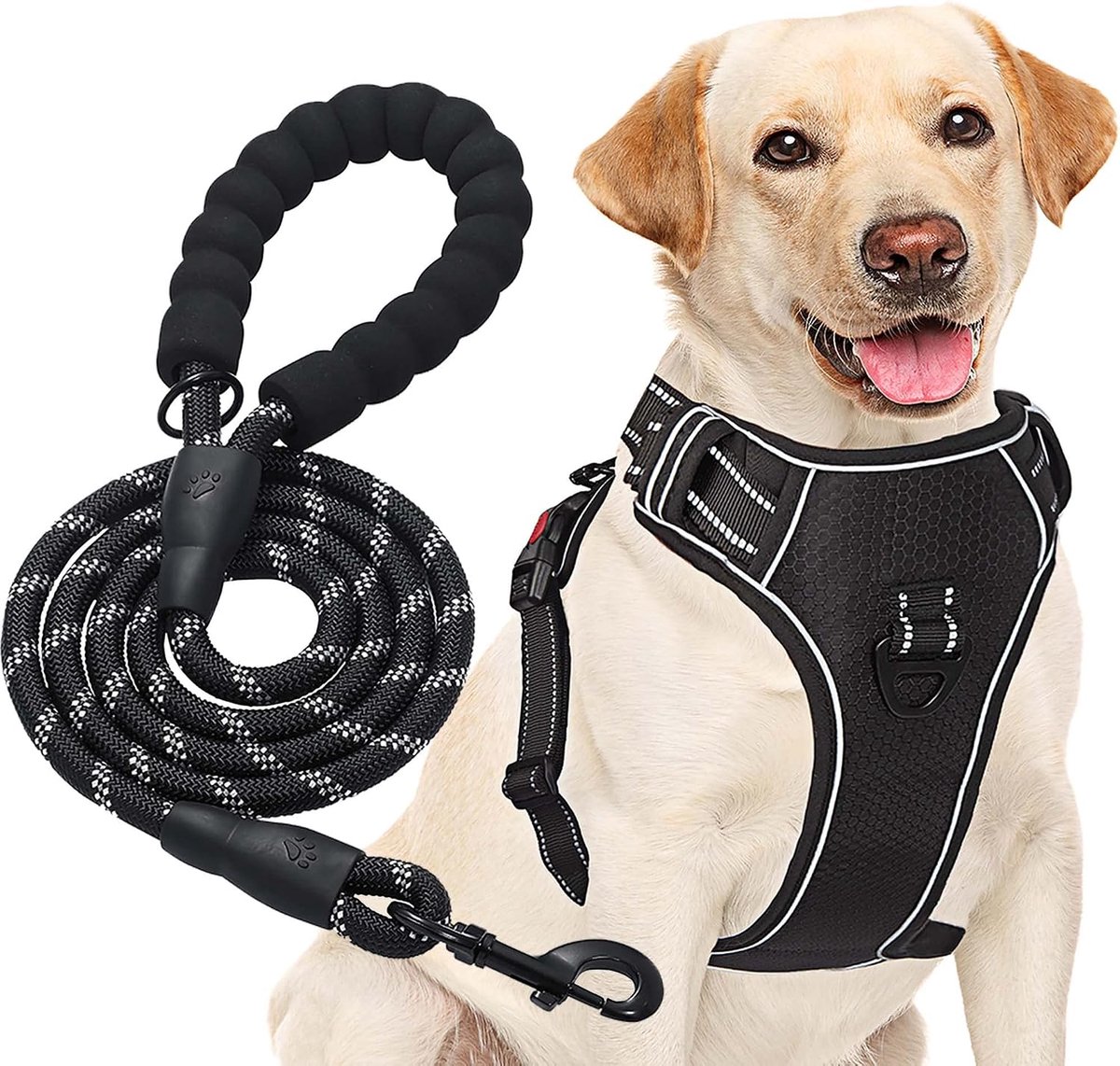 Haapaw Geen Pull Hond Harnas Verstelbare Reflecterende Oxford Easy Control Medium Grote Hond Harnas met een Gratis Heavy Duty Hond Lood