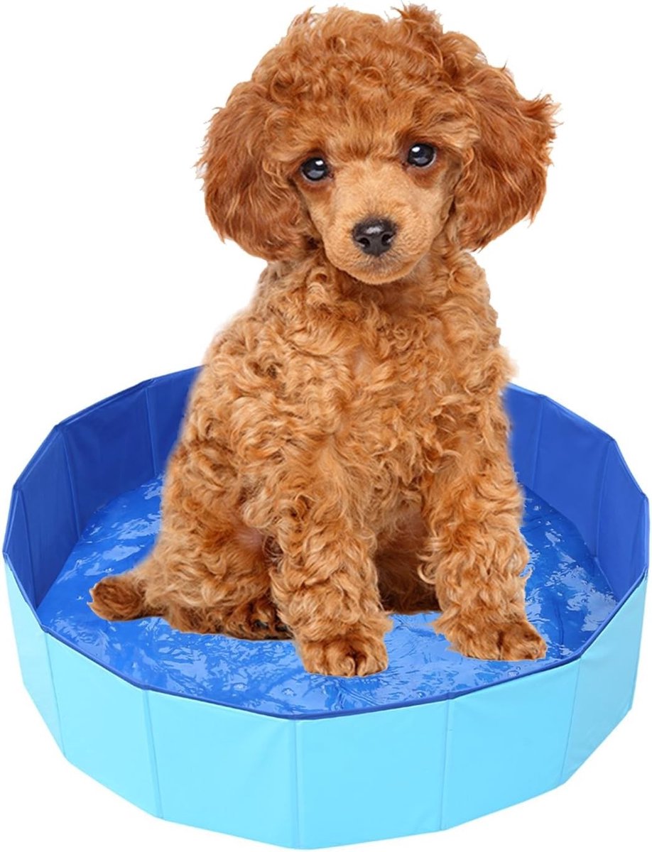 Opvouwbare Hondenbad, Ideaal voor Zomerplezier, Dierenbad voor Honden, Geschikt voor Kleine Honden, 50 x 10 cm