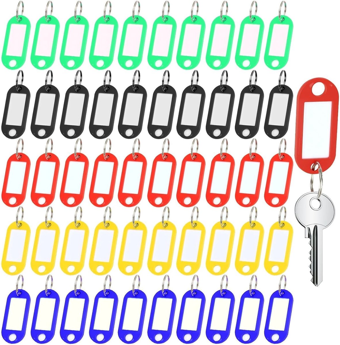 Sleuteltags met etiketten sleutelhangers ID plastic sleutelhangers sleutellabels met splitringen voor bagage huisdiernaam geheugensticktags