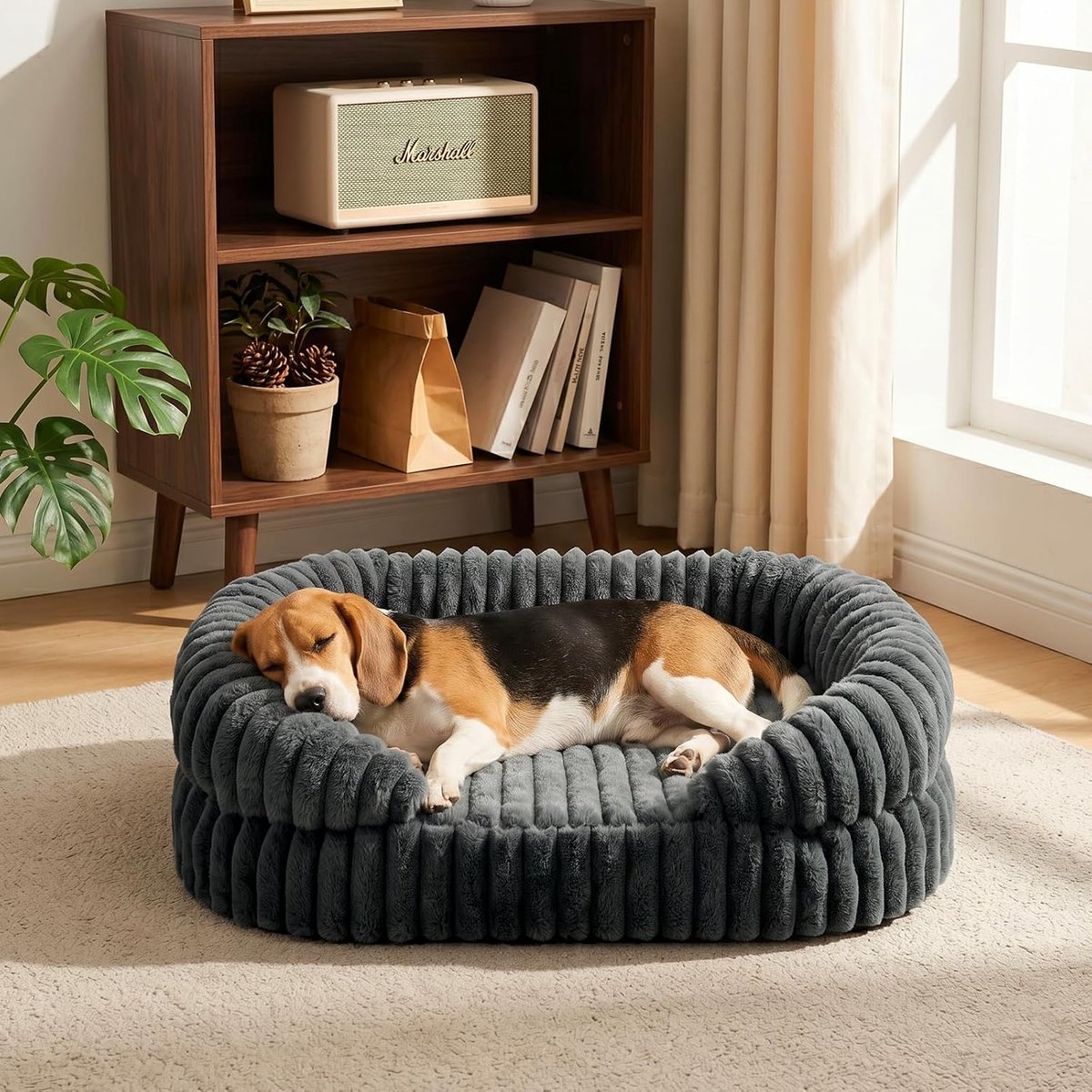 Hondenbed Memory Foam, 76x60 cm | Memory foam hondenmand, waterdicht, antislip, met eierkarton-schuim en hoge rand