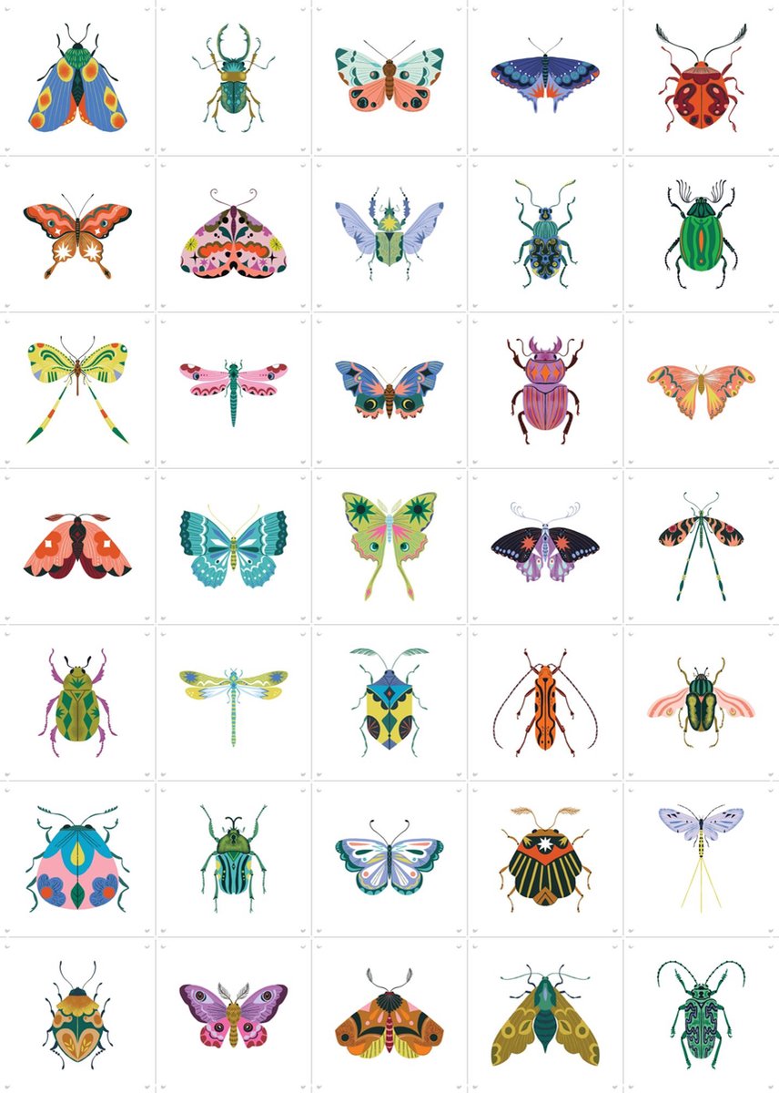 IXXI Bugs & Butterflies Collagebox, Bethan Janine - 100 x 140 cm - Gratis ophangtool - Grote wanddecoratie en posters - Digitale Kunst, Minimalisme