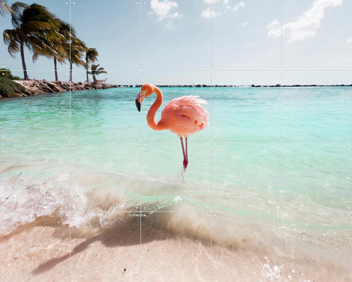 IXXI Flamingo Series Crystal Clear, Claire Droppert - 100 x 80 cm - Gratis ophangtool - Grote wanddecoratie en posters - Kleurrijk, Fotografie