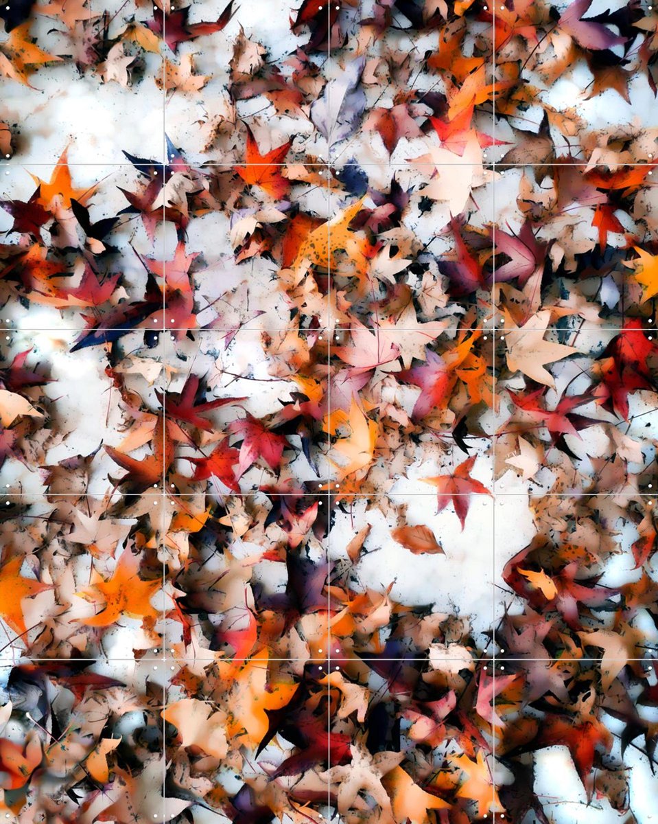 IXXI Leaves On Snow, Angelo Cerantola - 80 x 100 cm - Gratis ophangtool - Grote wanddecoratie en posters - Kleurrijk, Modern, Abstract, Digitale