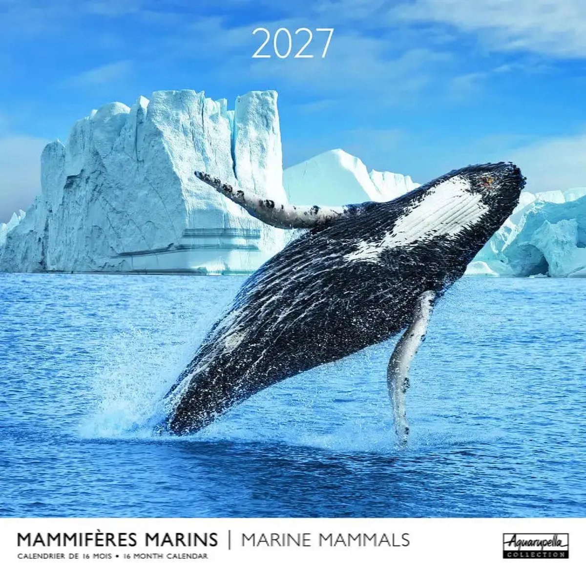 Marine Mammals Kalender 2027