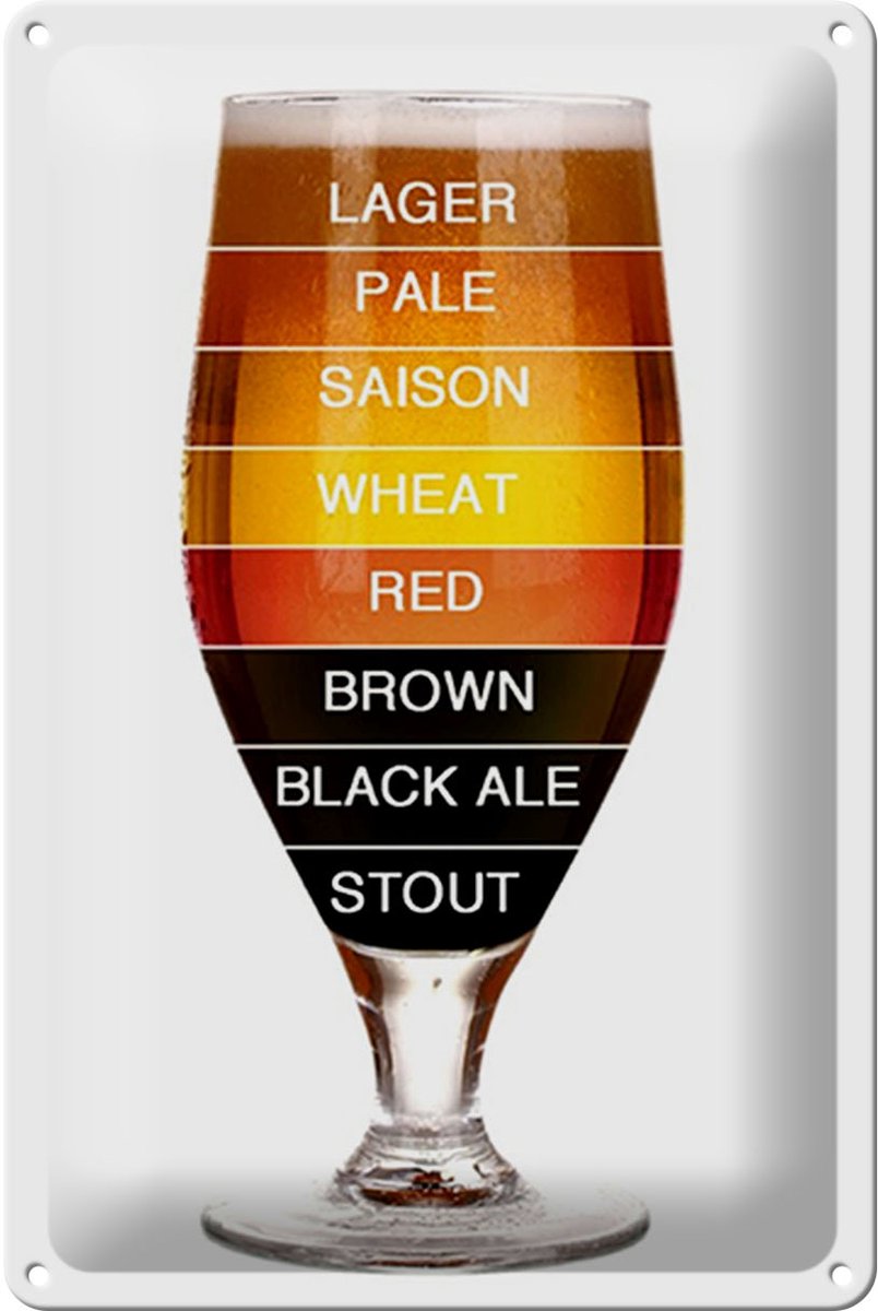 Blechschild Spruch 20x30cm Bier Bierglas lager pale saison