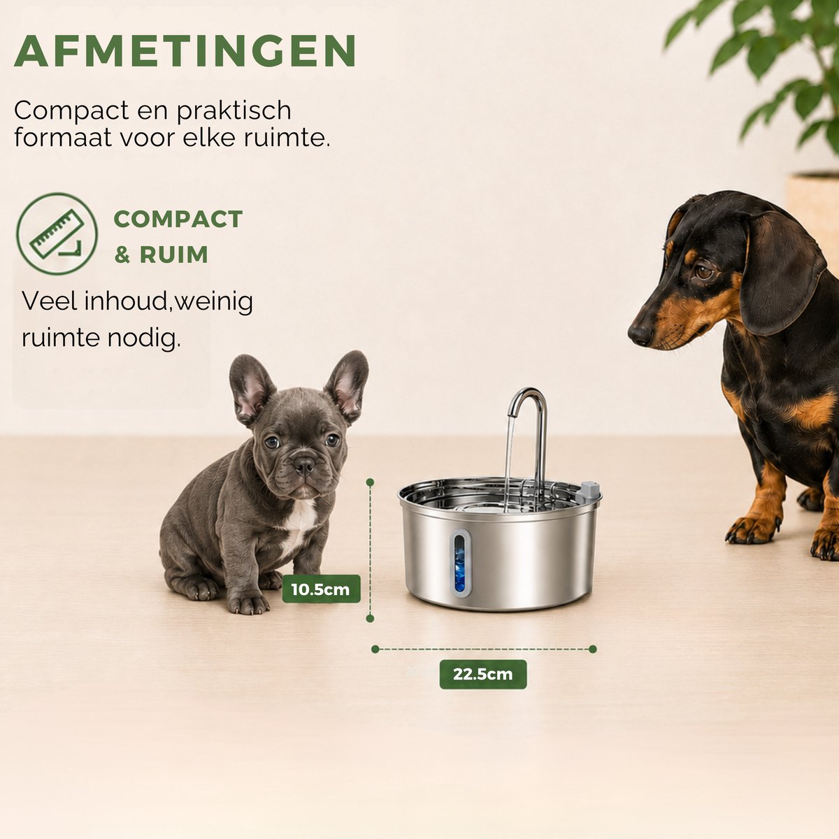Caryota Drinkfontein Kat - Waterfontein met Venster - Waterdispender - Drinkbak Honden - Extra Stil < 20 dB - Kattenfontein 3.2 liter - BPA-vrij thumbnail 3
