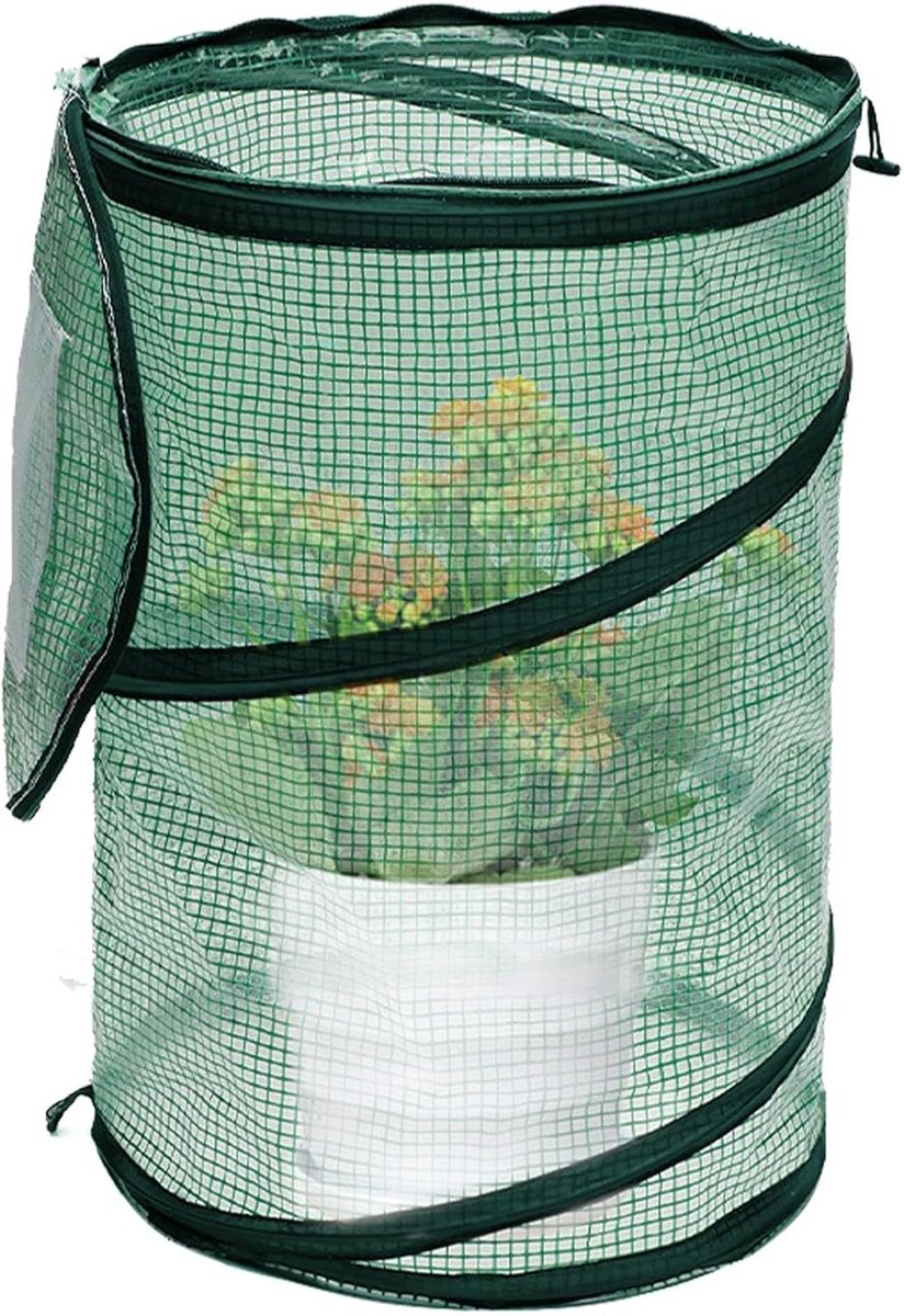 Kleine Broeikas - Tafelkas Kamerplanten - Planten Beschermen - Opvouwbaar Ontwerp - 52.6 x 52.4 x 6.4 cm - Groen