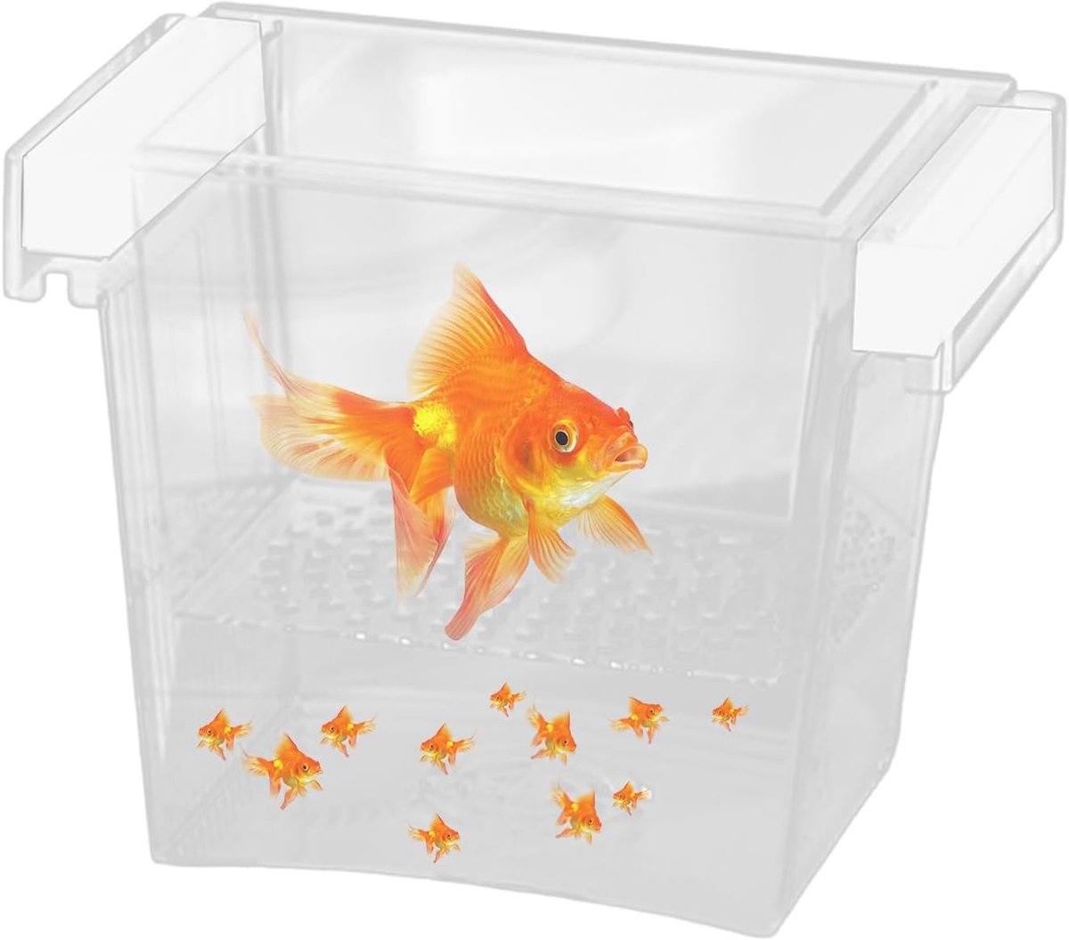 Aquarium Broedbox - Vis Isolatie - Jonge Vissen Kweken - Zwevende Structuur - 13x10 cm - Transparant