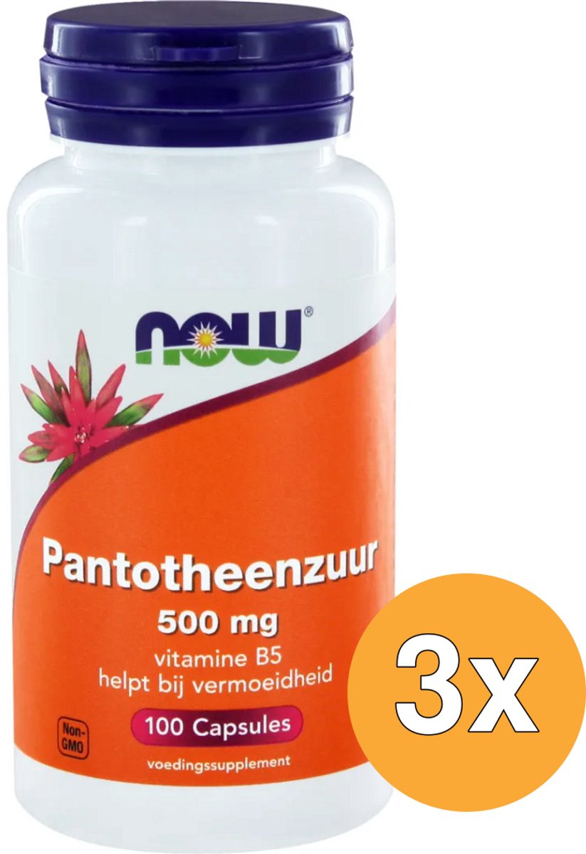 3x Now Pantotheenzuur 500 mg (100 vega capsules)