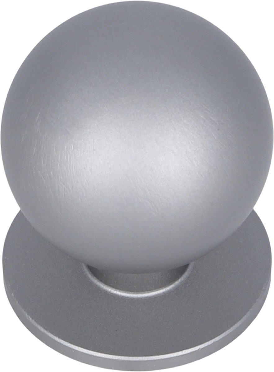 Meubelknop Sera geborsteld RVS 24mm