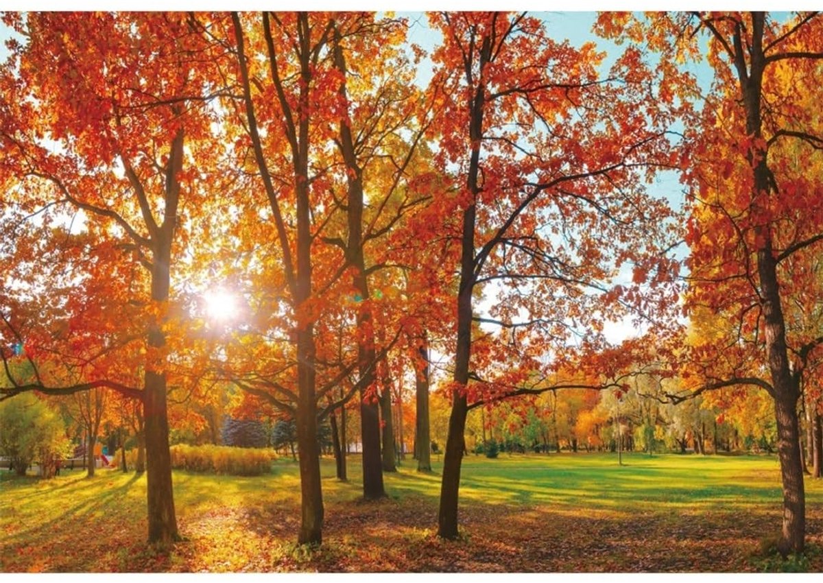 Solidchoice - Achtergrond voor Herfstfotografie met Gouden Bladeren