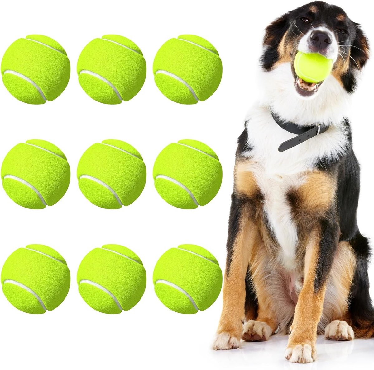 Tennisbal - Groen - Voor Sport en Training - Geschikt voor Honden