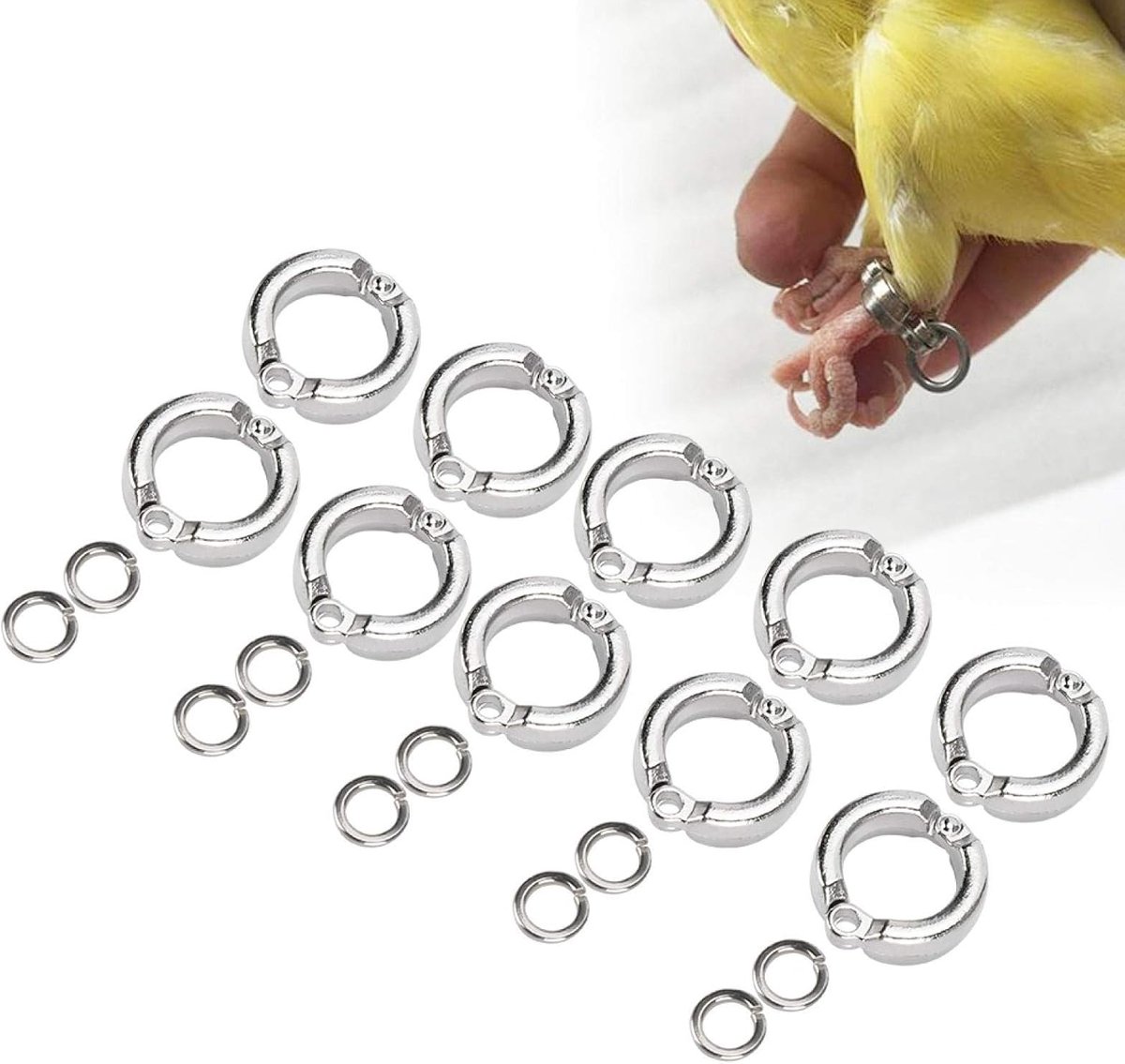 (10 stuks) Outdoor Parrot Opening Voetring voor Parkieten Lovebird(number 6) bird foot ring bird rings leg bands Leksaker