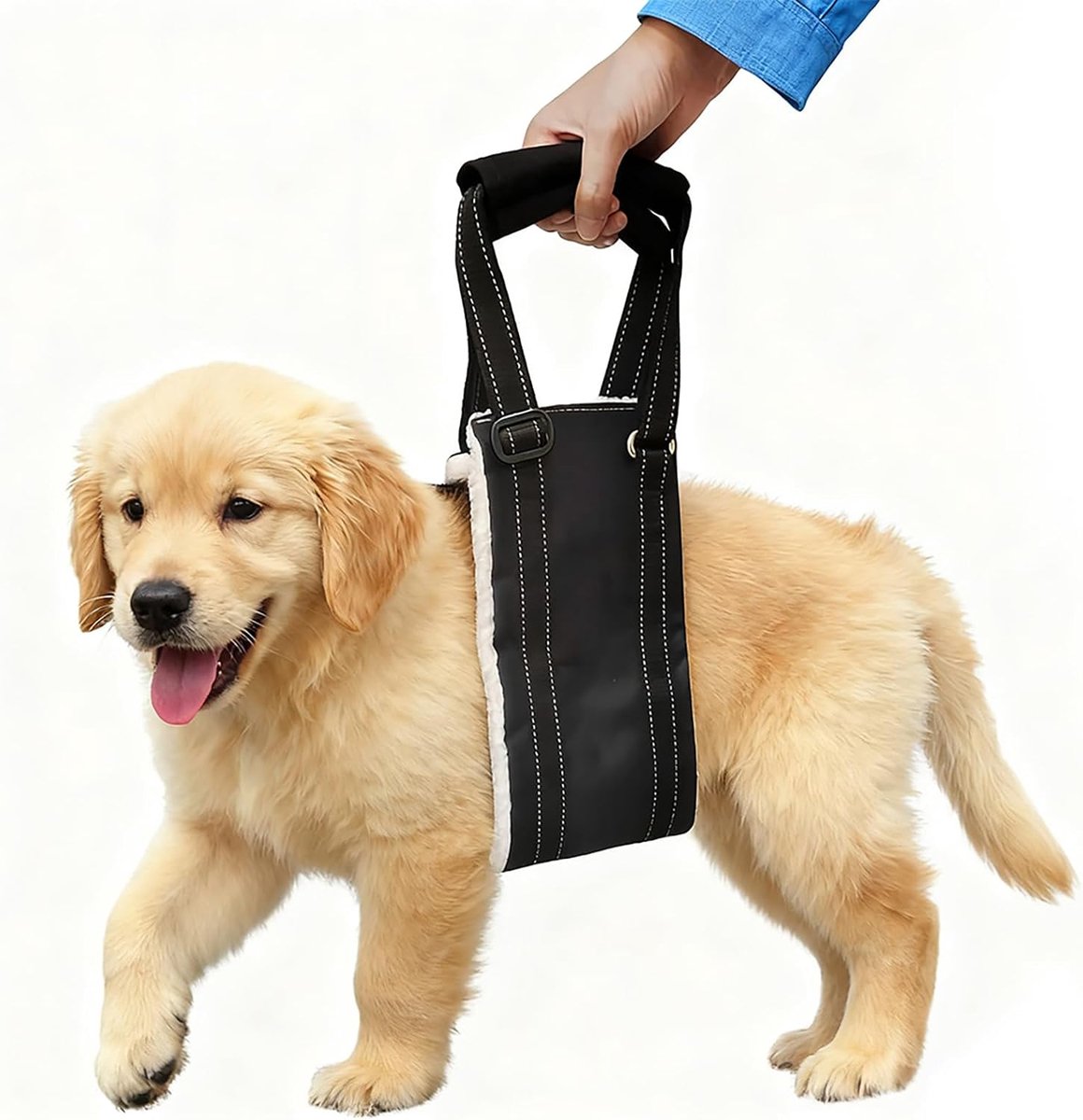 Draaghulp voor honden, verstelbare loophulp en revalidatie, draagriem voor verschillende maten, veiligheidsondersteuning voor gehandicapten, gewonden of oudere honden, M
