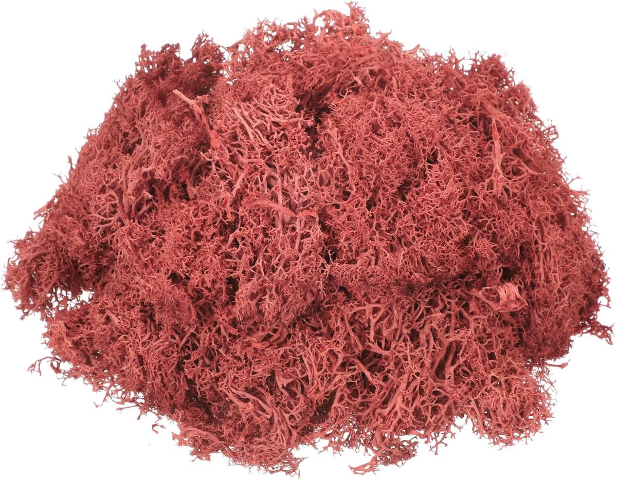 4.6oz Geconserveerd Rendierschuim, Rode Kunstmatige Decoratie Kunstmatig Schuim Voor Potplanten Ambachten Interieur Korstmos Centerpieces Ornament