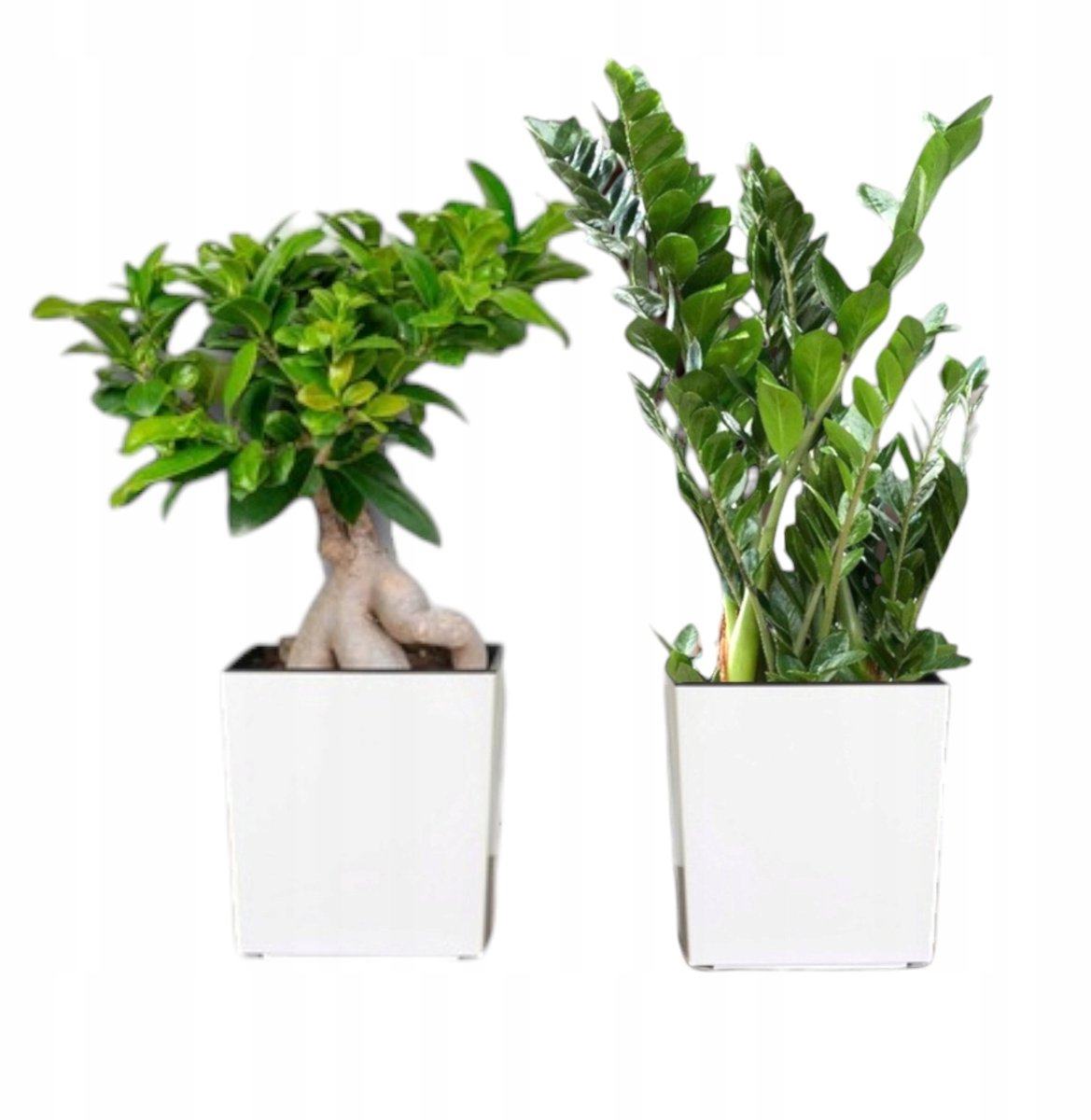 2x Moderne witte kunststof pot met inzet - Vierkant