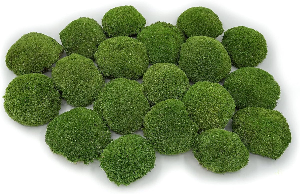 Preserved Sferische Foam 30 x 30 cm - Lichtgroen - Duurzaam Natuurlijke Product - Perfect voor Decoratie - ShopVlot