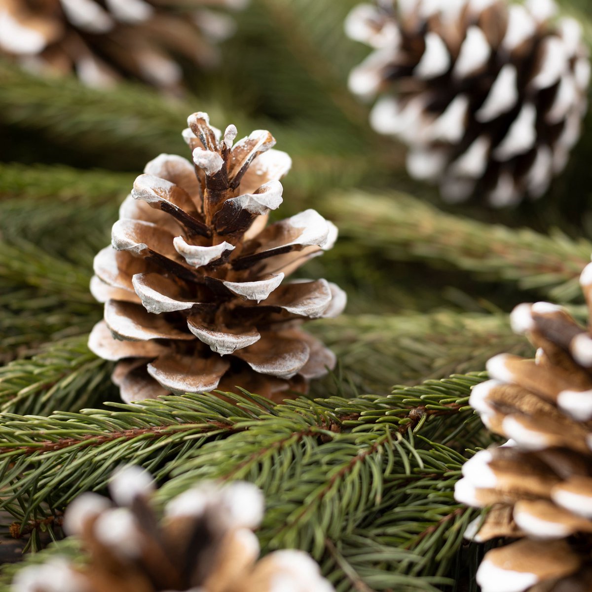Kerstdecoratie - kegel - 5 x 4,5 cm - 10 stuks / verpakking 1 Stuks [58544]