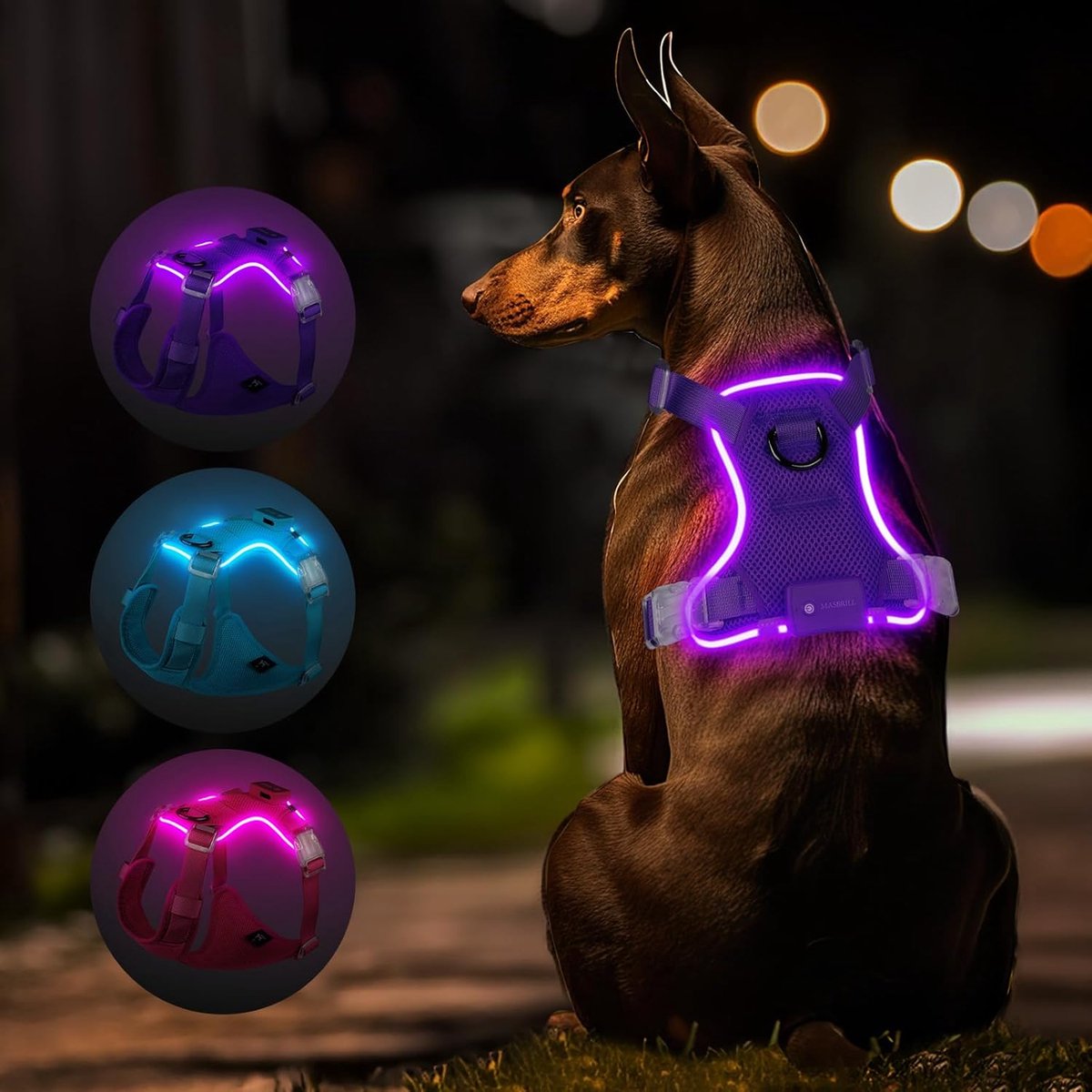 Hondenharnas S - Verstelbaar LED - Waterdicht en Reflecterend - Veilig zichtbaar tot 500m - ShopVlot