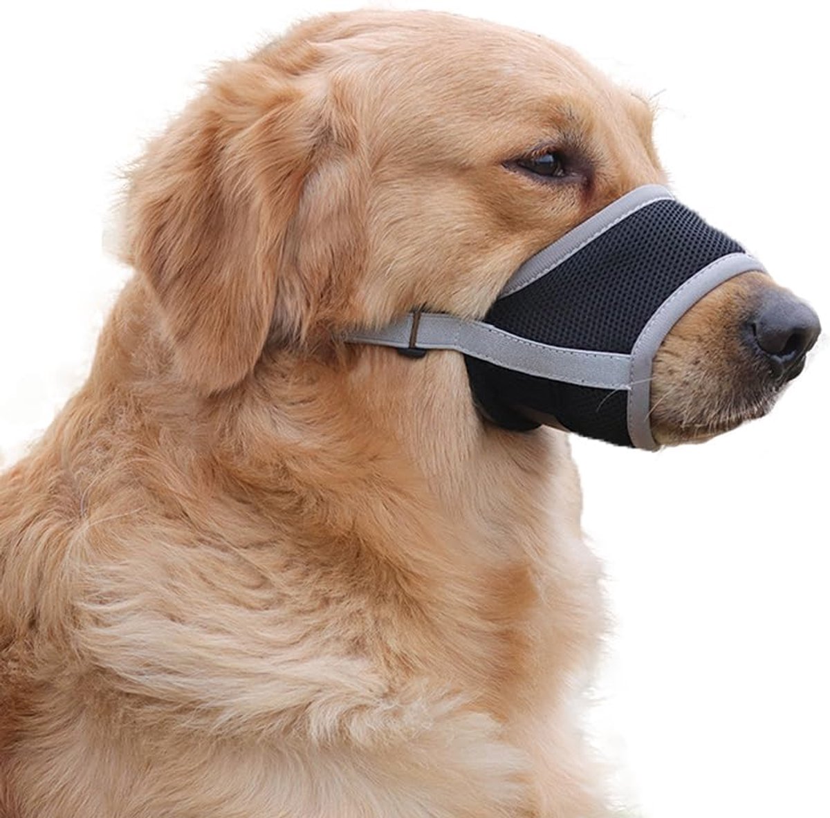 Muilkorf voor honden, zachte muilkorf met ademende mesh-overtrek, verstelbare lus, ademend, veilig, voorkomt bijten, kauwen en blaffen (grijs, XXL)