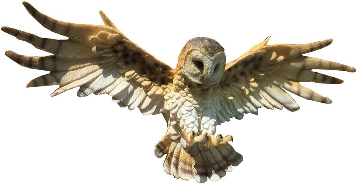 Uilen wanddecoratie 55 cm - Bruin-witte barnowl - Gedetailleerd design - Origineel cadeau - ShopVlot