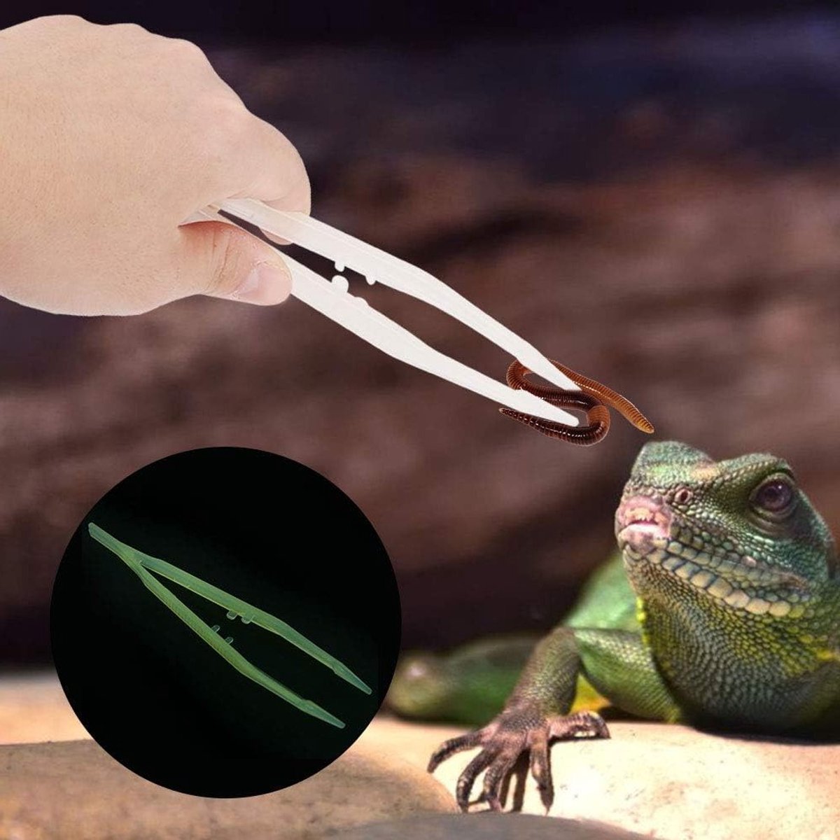 Reptielen Voederpincet met Antislip Grip, Lange Plastic Tangen voor Schorpioenen, Honderdpoten en Hagedissen - 18 cm Lang en Duurzaam