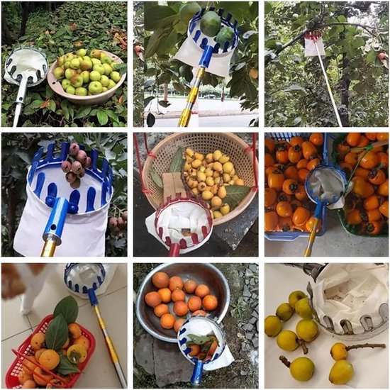 Fruitplukker Telescopisch - Fruitverzamelaar Lange Steel - Fruit Oogsten - Verstelbare Lengte - Tot 10 Meter - Geel — afbeelding 3