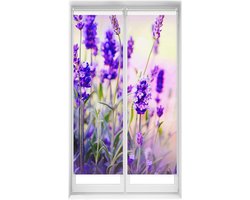 Rolgordijnen Set - Verduisterende Gordijnen - Privacy Creëren - Zonder Boren - 40 x 150 cm - Lavendel