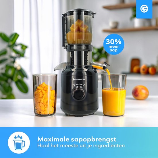 Slowjuicer - Sapcentrifuge Elektrisch - Gezonde Sappen Maken - Krachtige Motor 60 RPM - 450 Milliliter - Zwart — afbeelding 5