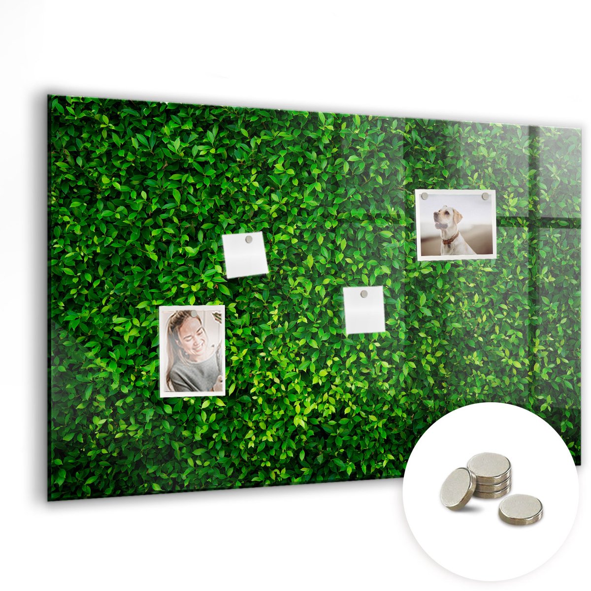 Coloray Glazen Magneetbord - Magnetisch Bord Rust wereldkaart - 90x60 cm - Groente Magneetbord - Magnetic Board - Magneetbord Design