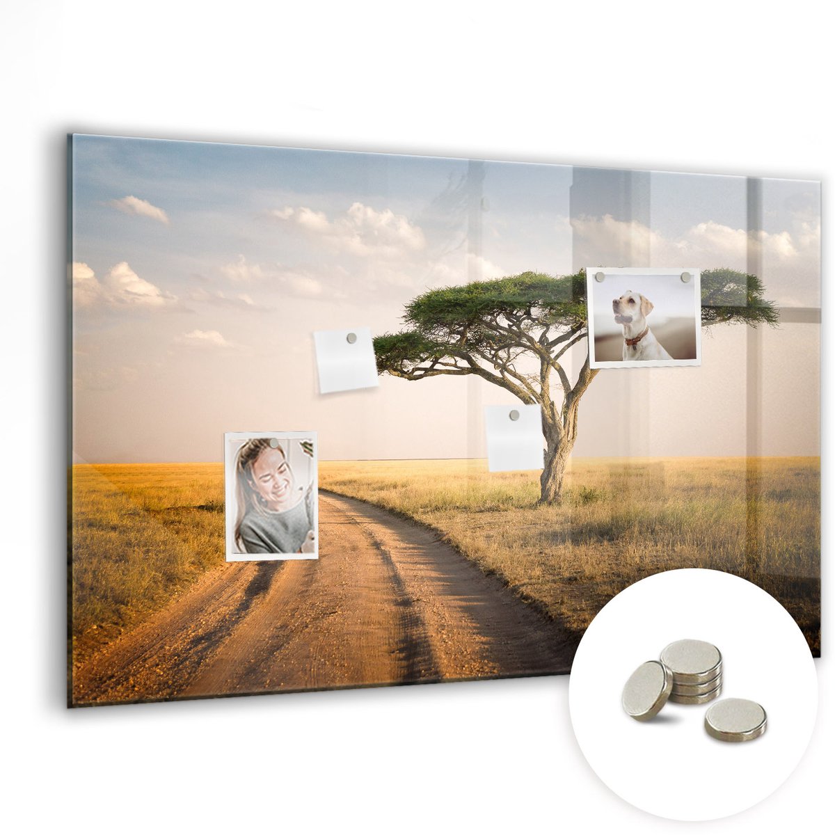 Coloray Glazen Magneetbord - Magnetisch Bord Kaart van Europa - 90x60 cm - Veelkleurig Magneetbord - Magnetic Board - Magneetbord Design