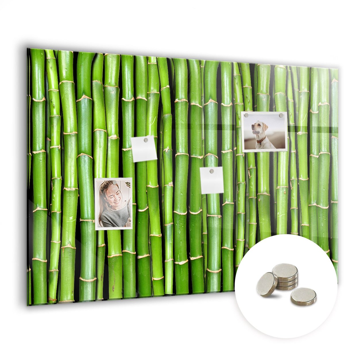 Coloray Glazen Magneetbord - Magnetisch Bord Lente natuur - 100x70 cm - Groente Magneetbord - Magnetic Board - Woonkamer Decoratie
