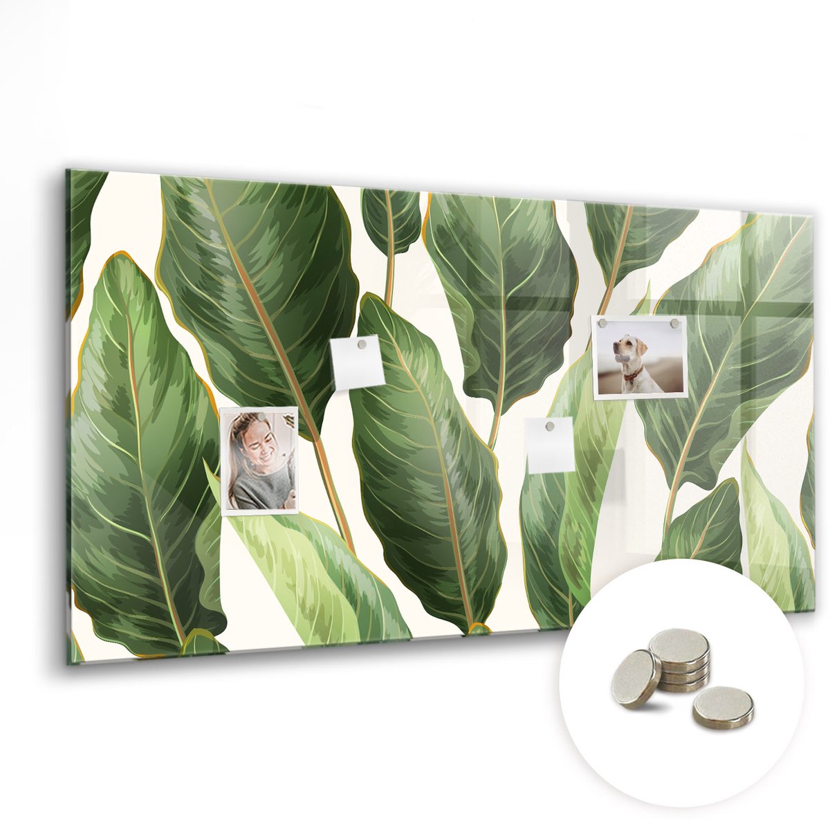 Coloray Glazen Magneetbord - Magnetisch Bord Tropische monstera - 120x60 cm - Wit Magneetbord - Magnetic Board - Wanddecoratie
