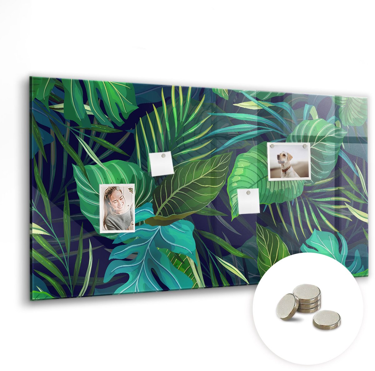 Coloray Glazen Magneetbord - Magnetisch Bord Afbeeldingen schetsen - 120x60 cm - Groente Magneetbord - Magnetic Board - Memobord