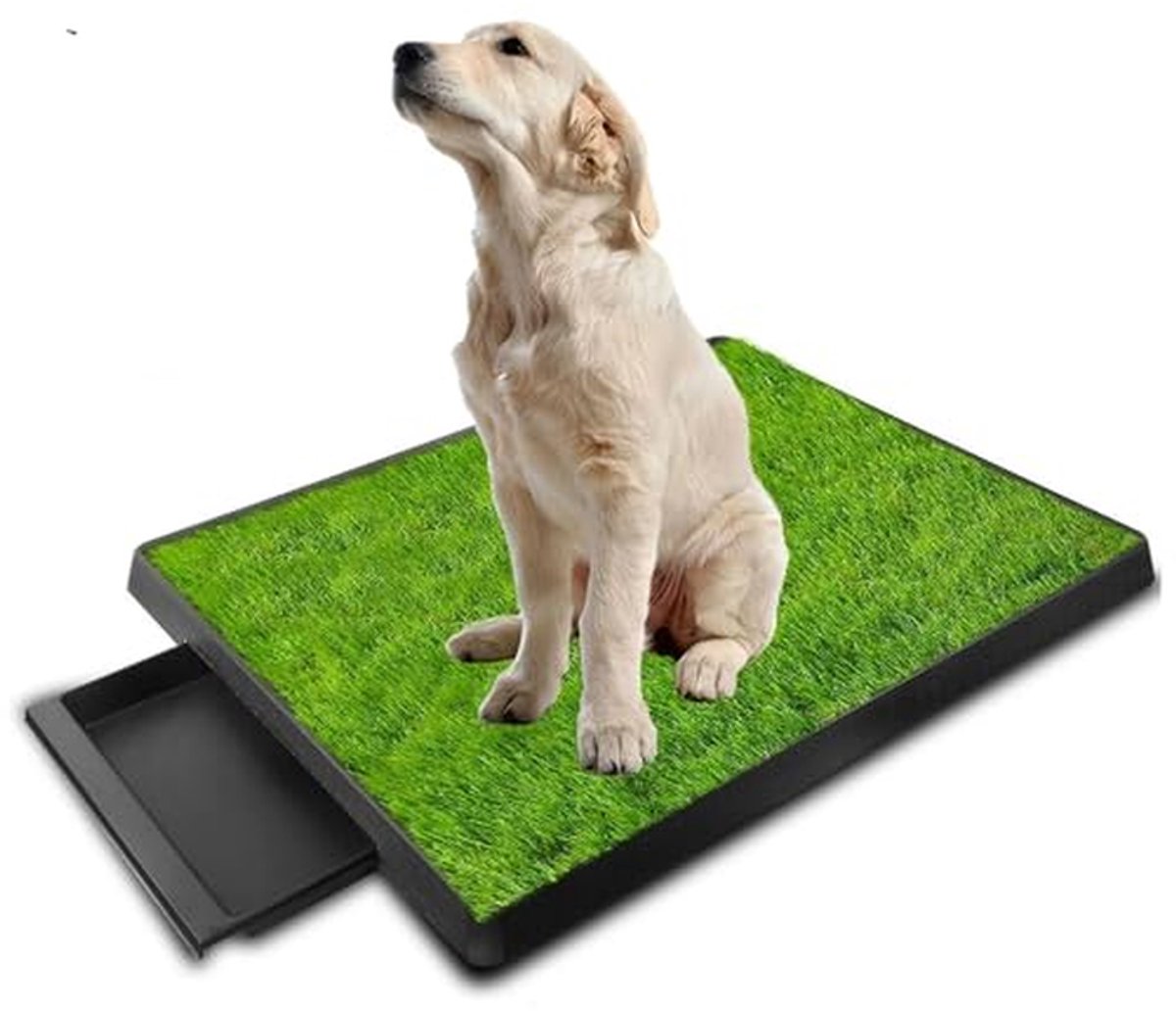 Hondentoilet voor binnen - Oefenmat puppy - Zindelijkheidstraining hond - Realistisch grasontwerp - 64 x 51 cm - Groen