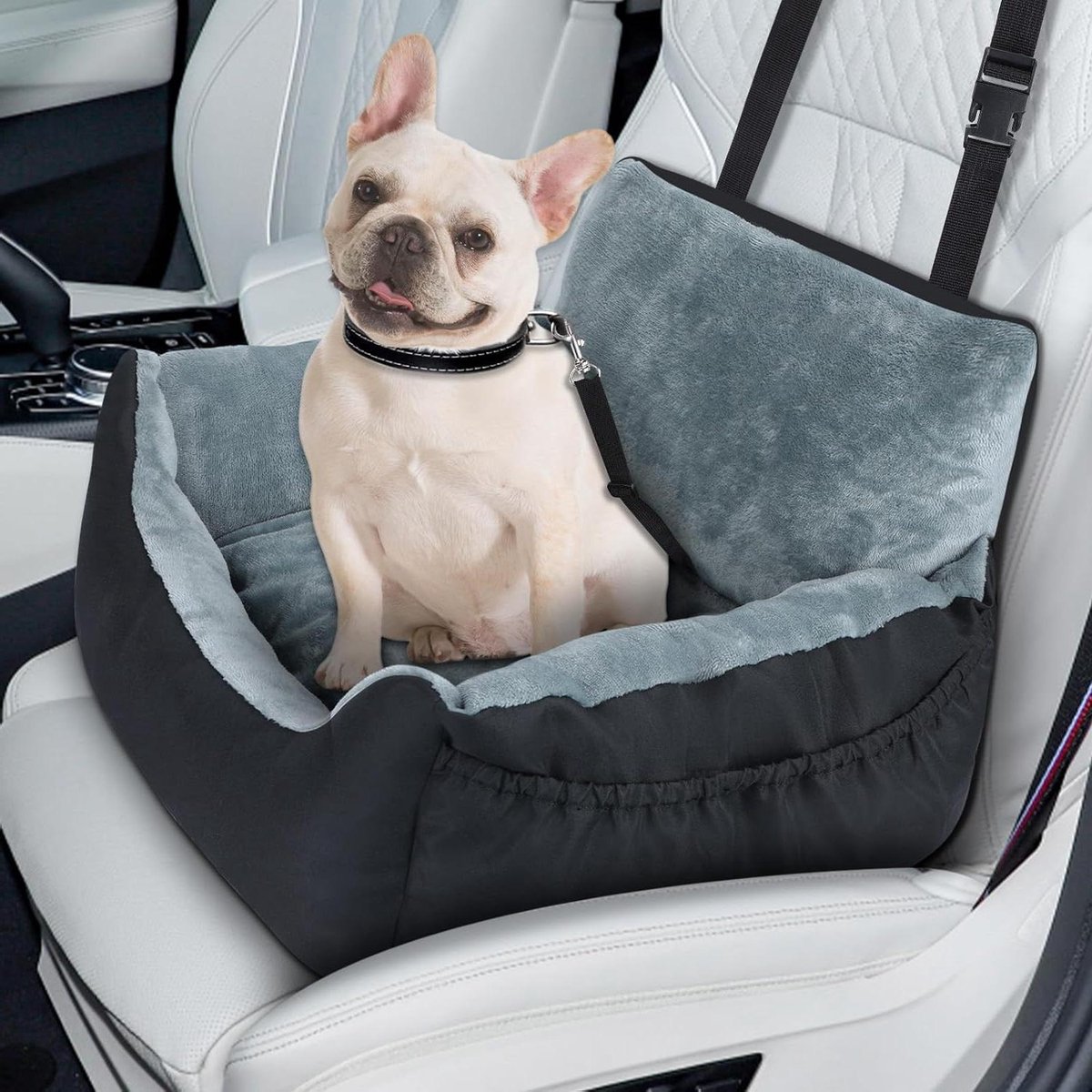 Honden Autostoel - Reisstoel Hond - Veilig Reizen - Verhoogd Zichtveld - 54.5 x 46 x 34 cm - Zwart