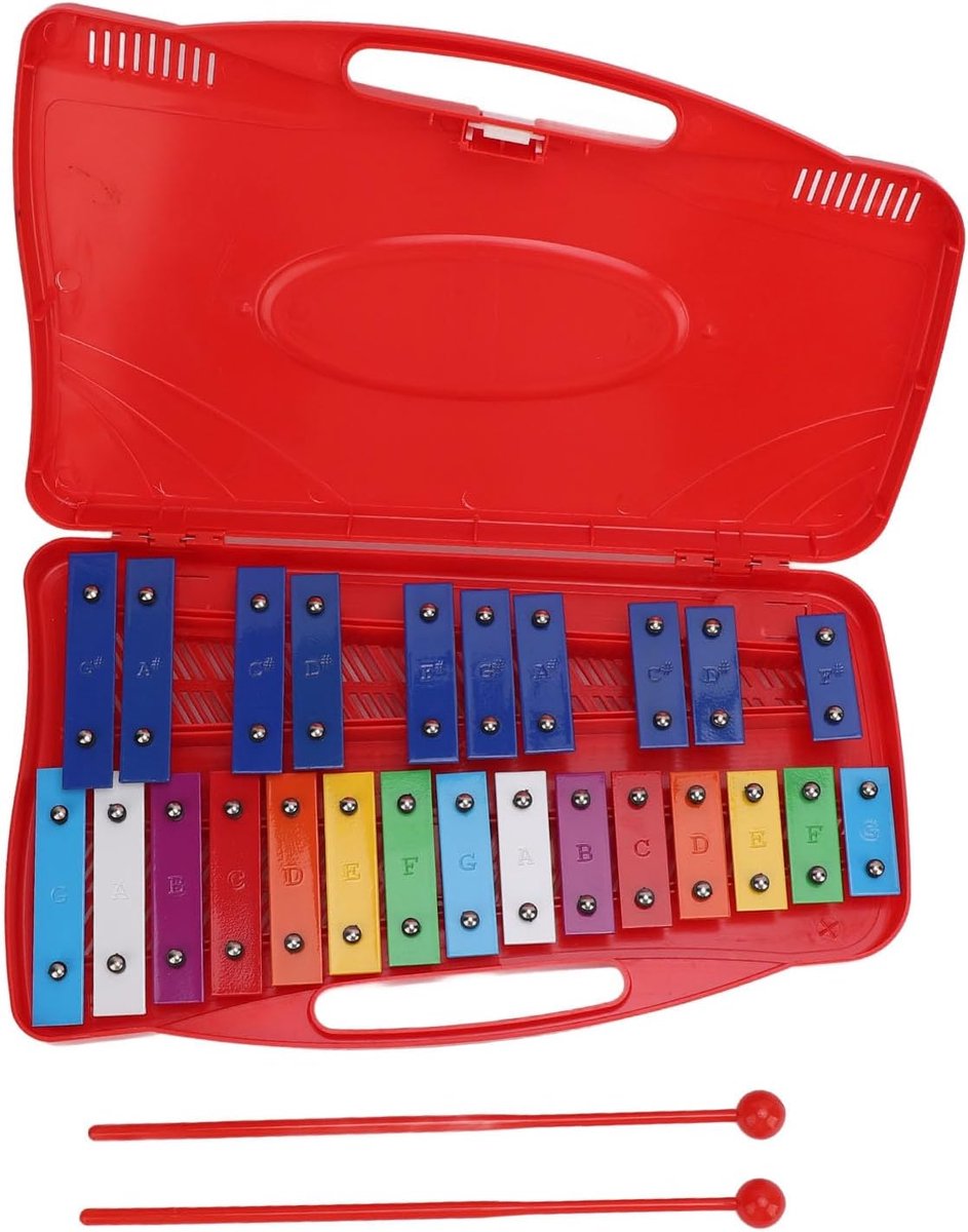 SnelShoppen - Kinderen Xylofoon Professionele Aluminium Kleurrijke 25 Toetsen Muziekinstrument voor Vroeg Onderwijs Peuterschool Stevig Lichtgewicht D