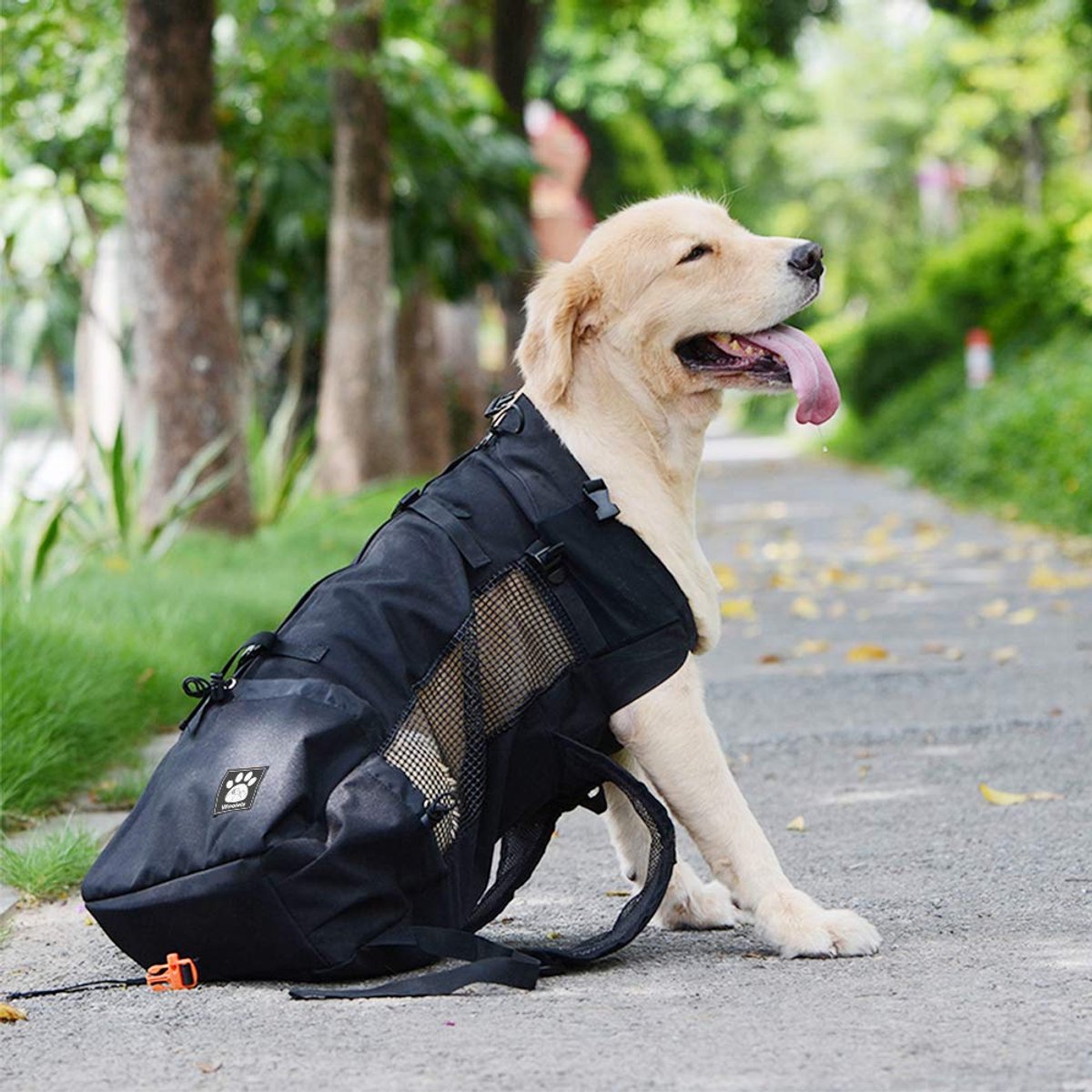 SnelShoppen - Hondenrugzak Draagtas Rugzak voor Puppy met Waterdichte Voering, Kleine Huisdier Reistas voor Wandelen, Fietsen en Lopen - Ideaal voor A