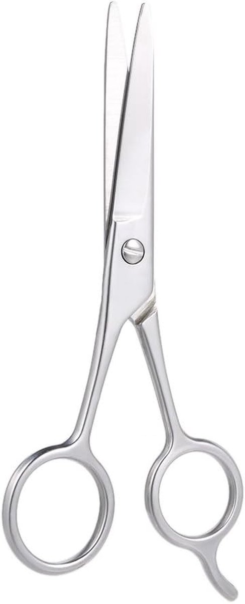 Baardschaar Roestvrij Staal - Snor Schaar Wenkbrauw - Precisie Trimmen - Nauwkeurige Scherpe Bladen - 12.5 cm - Zilver