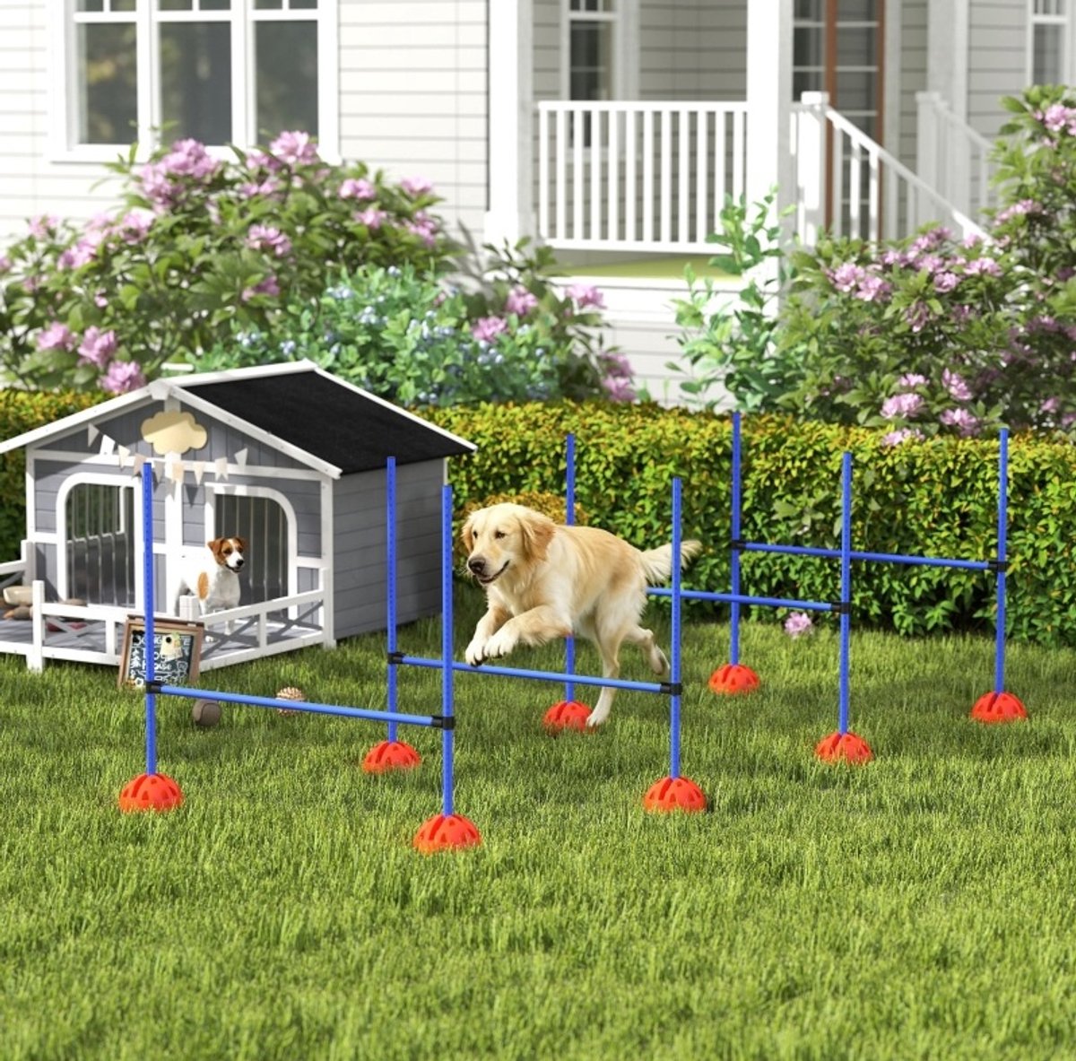 REDOM- Honden agility set - 4 horden - verstelbare hoogte - draagtas - trainingshindernis - buitentraining - kunststof - blauw - 124 x 19,5 x 103 cm