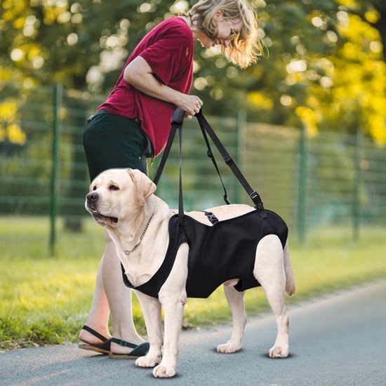 Draagharnas voor Honden, Verstelbare Steun voor Achterpoten, Veiligheidssteun voor Gewonde Honden, Ideaal voor Trappen en Draaghulp — afbeelding 5