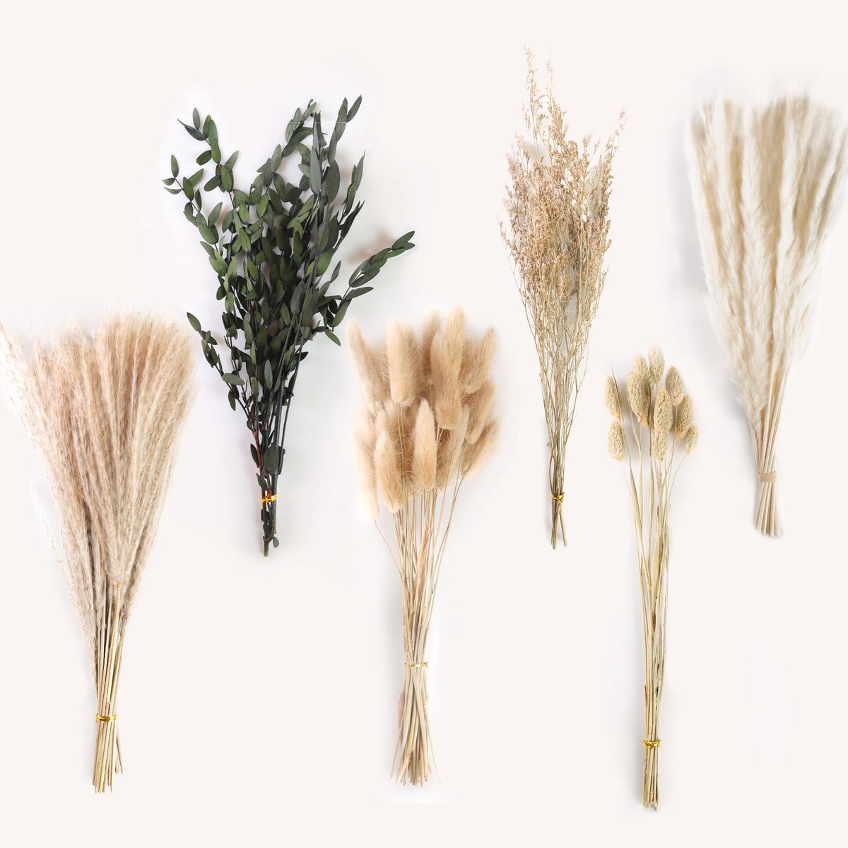 Famanu – Gedroogd pampasgras set van 65 stuks, natuurlijk pluizig riet voor boeket en vaasdecoratie